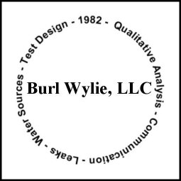 Burl Wylie LLC